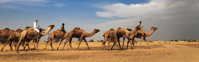 The Jaisalmer – “The Golden Town of Rajasthan”&nbsp;!!