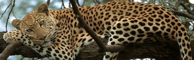 Places to visit in the Amazing Alwar city of&nbsp;Rajasthan