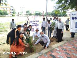 Celebrating Independence Day